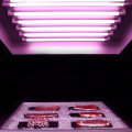 25000h Lifetime LED Tube for Meat with Color Box Packed
